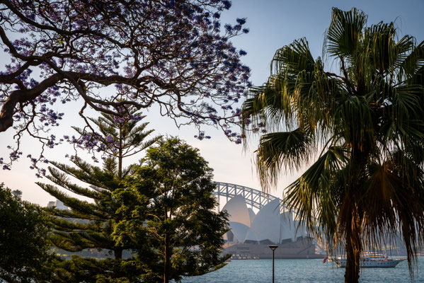 Royal Botanic Garden