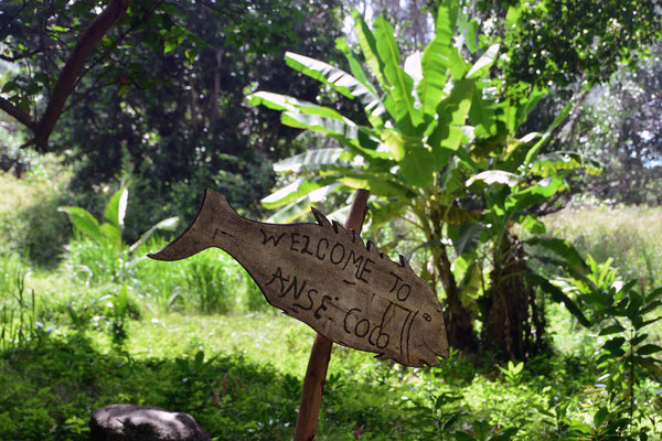 Auf dem Weg zur Petit Anse und Anse Coco