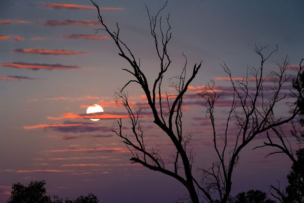 Outback Queensland - Opalmine - Besuch bei Michael und Lorrae