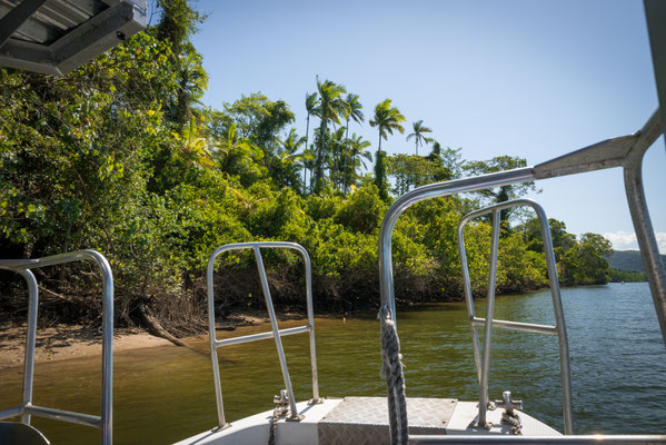 Solar Whisperer Daintree River Crocodile Tour