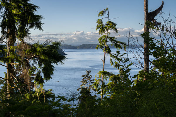 Auf dem Weg nach 'Telegraph Cove' - Aussicht bei 'Beaver Cove'