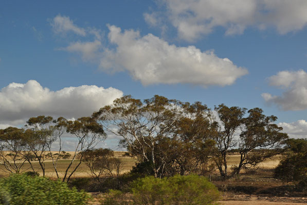 Landschaft Richtung Streaky Bay