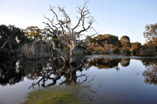 Kangaroo Island Caravan Park - Lagune beim Platz