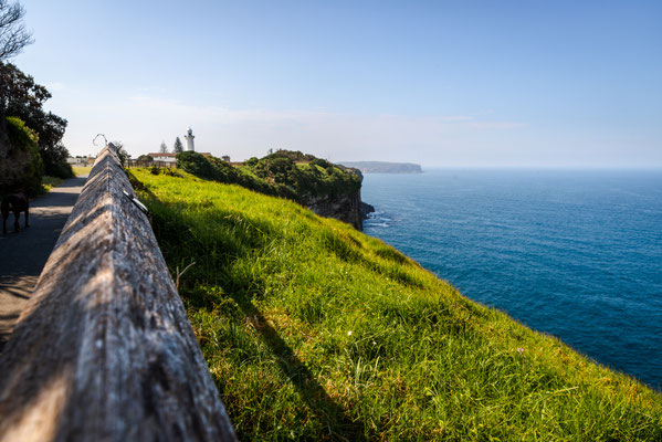Coastal Cliff Walk - Clarke Reserve