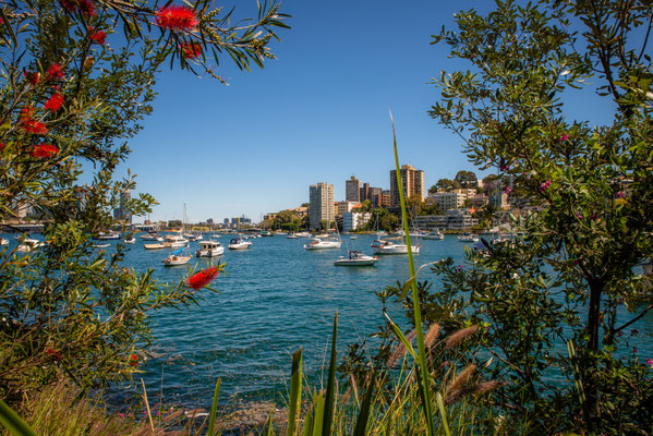 Lavender Bay