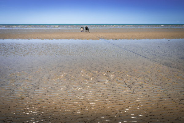 Wonga Beach bei Ebbe