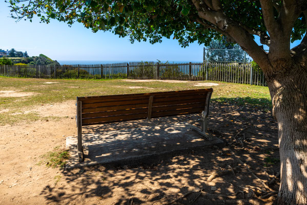 Coastal Cliff Walk - Raleigh Reserve / Dover Heights Coastal Reserves