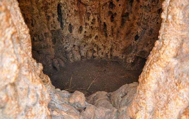 Boab Prison Tree