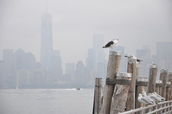 Auf Liberty Island - Skyline im Hintergrund