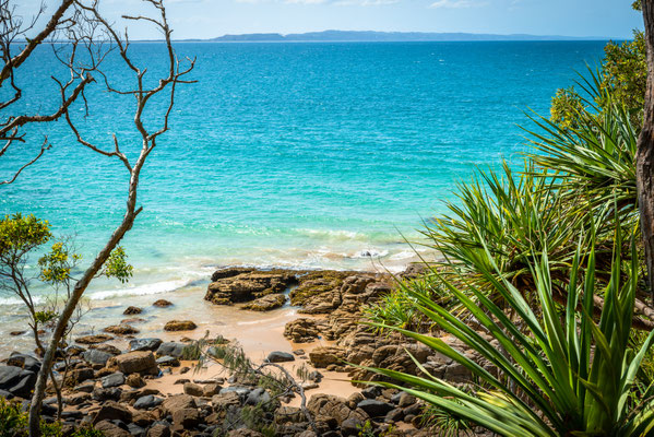 Noosa Heads National Park