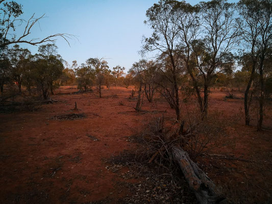 Koroit - Aussicht bei unserem Camp