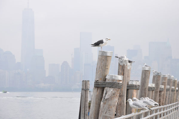 Auf Liberty Island - Skyline im Hintergrund
