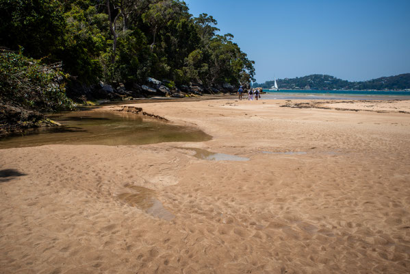 Great Mackarel Beach, Kuring-gai National Park