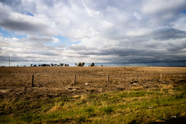 Unterwegs nach Lightning Ridge - es sieht nach Regen aus...