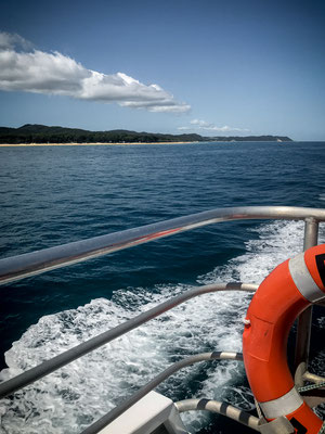 Unterwegs zu den Walen - Moreton Island im Hintergrund