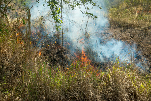 Feuer in Wujal Wujal