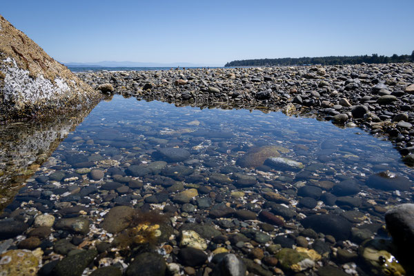 auf dem Weg von Campbell River nach Chemainus - Qualicum Beach