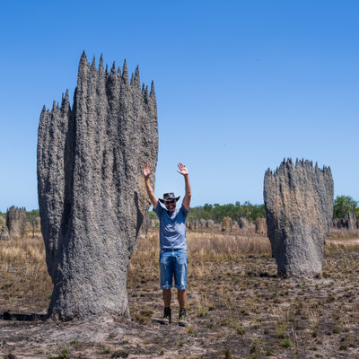 Dundee Beach, Top End - Magnetic Termite Mounds auf dem Gebiet der 'Finniss River Lodge'