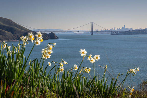 Point Bonita Trail