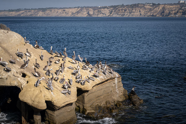 La Jolla Cove, San Diego