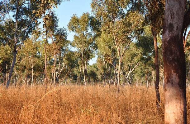 Kimberley-Landschaft