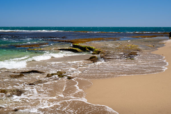 Penguin Island, Rockingham - West Beach