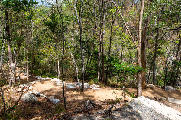 Mount Coot-tha - Simpson Falls Track