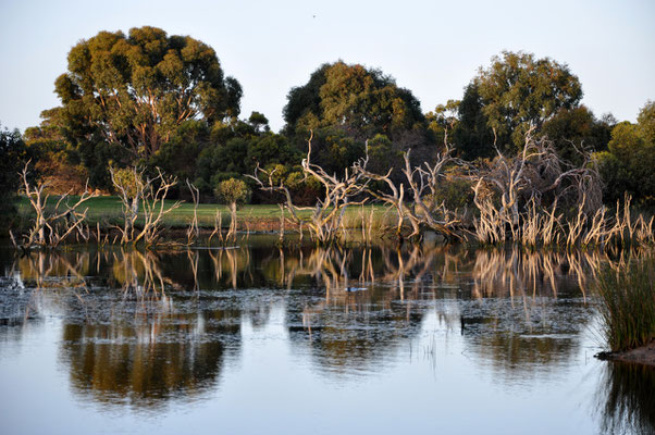 Kangaroo Island Caravan Park - Lagune beim Platz