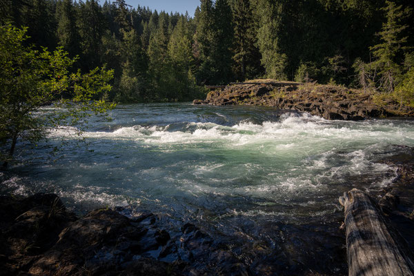 Elk River Provincial Park - Rundwanderung
