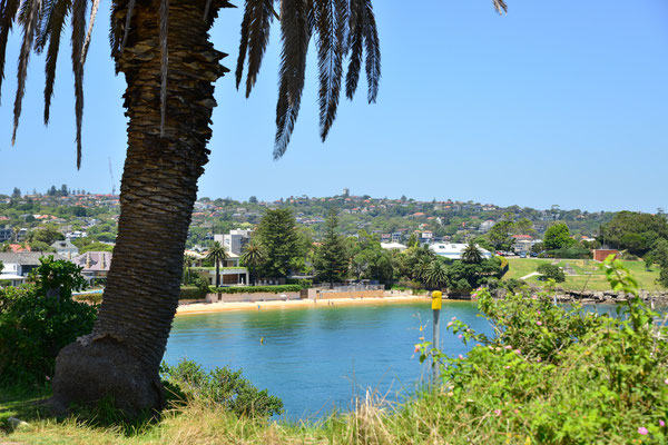 Watsons Bay - Camp Cove 