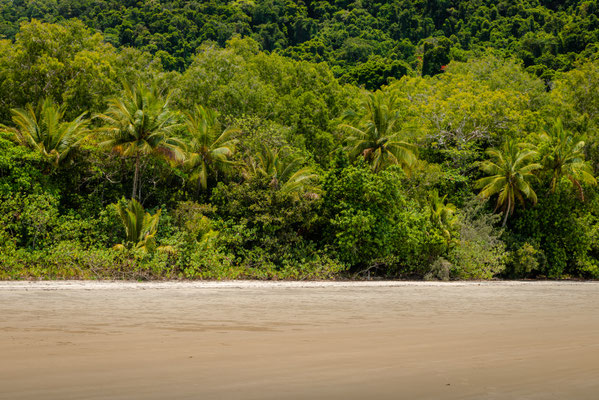Coconut Beach