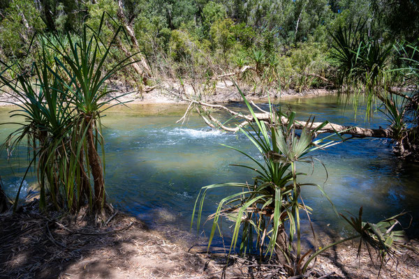 Gregory River - Gregory River Bridge Free Camp