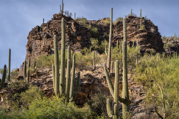 Sabino Canyon - Creek Trail