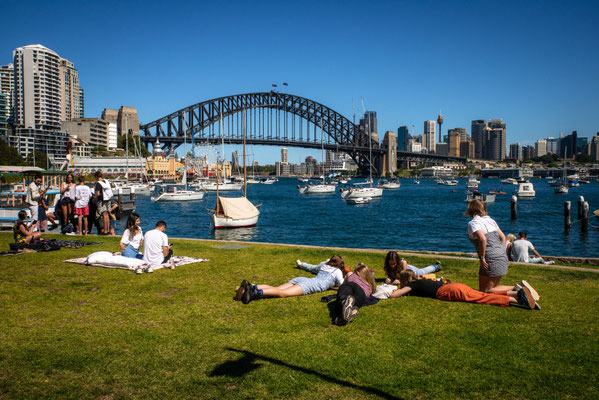 Lavender Bay 