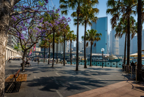 East Circular Quay