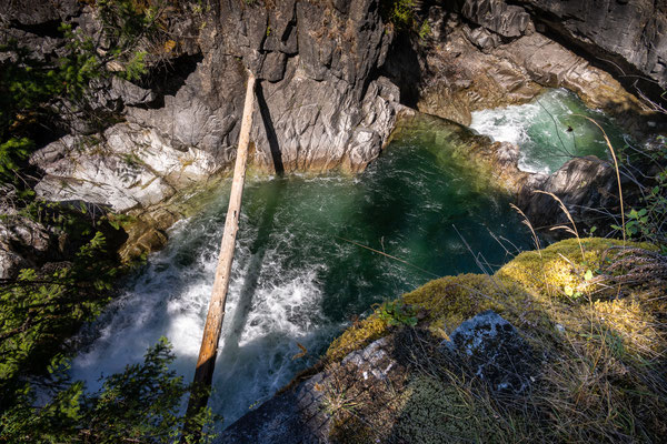 Little Qualicum Falls Provincial Park - Rundwanderung