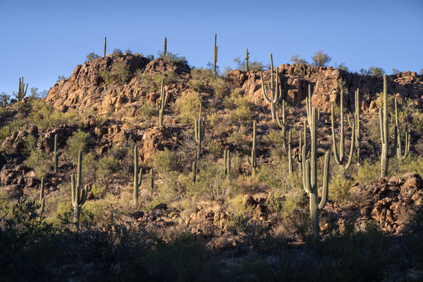 Picture Rock Trail