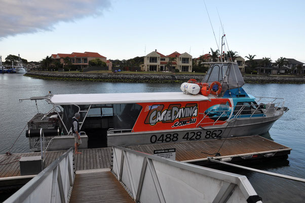 Shark-Cage-Diving-Tour - Unser Schiff