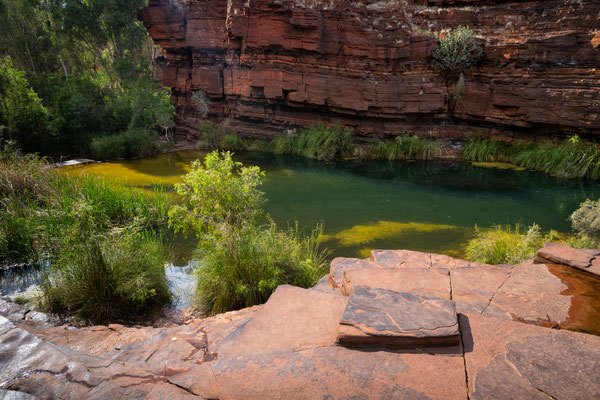 Dales Gorge, Karijini Nationalpark - Dales Gorge Walk