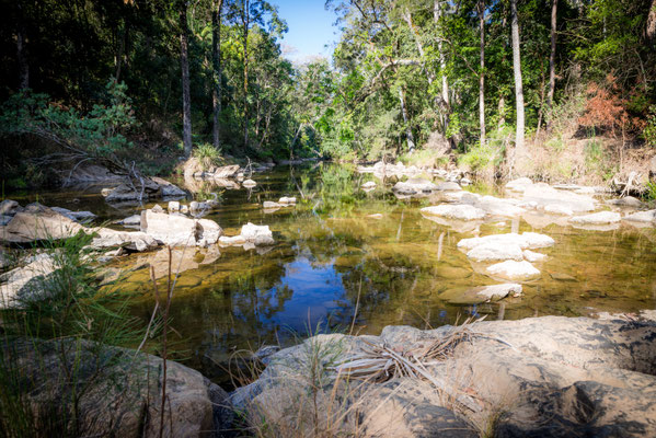 Eungella NPational Park - Fluss direkt beim Campground