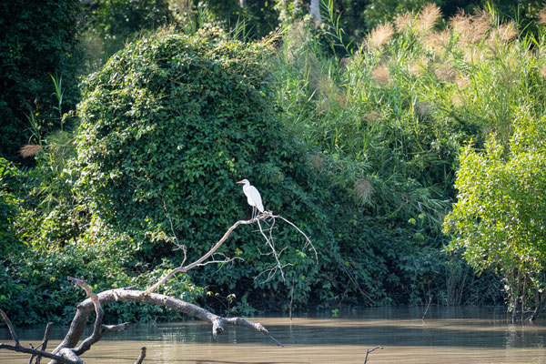 Jumping Crocodile Tour / Adelaide River