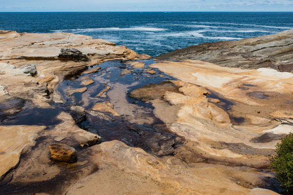 Royal National Park