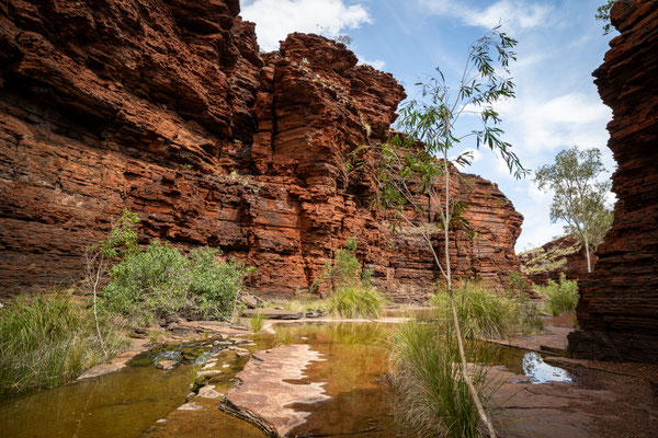 Kalamina Gorge, Karijini Nationalpark 