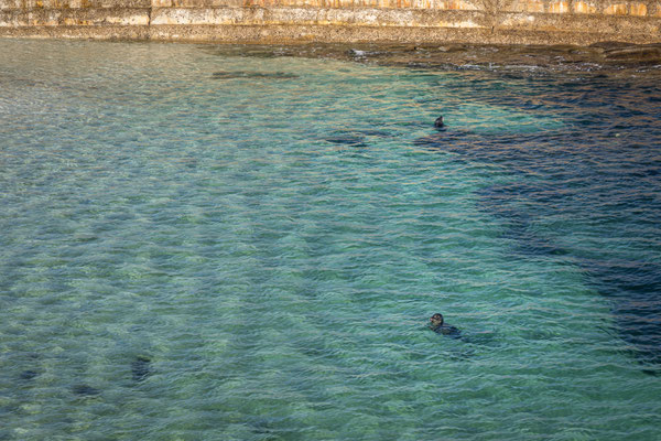 La Jolla, San Diego