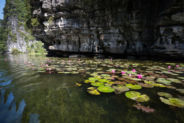 Ninh Binh - Bootstour Trang An