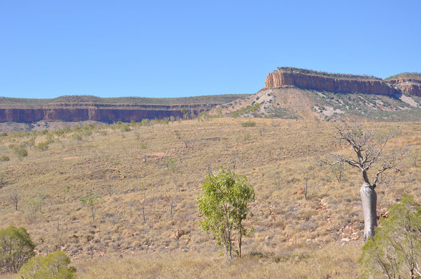 East Kimberley