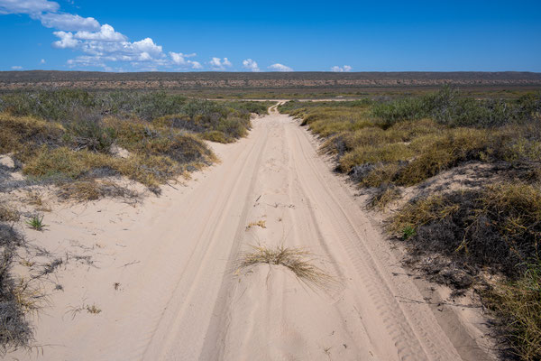 South Coastal Track, Nyinggulara Coastal Reserve - Fahrt nach Winderabandi auf dem wunderschönen Sandtrack