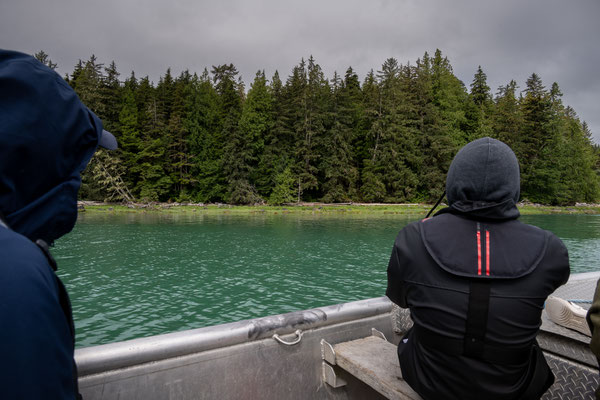 Port McNeill/Knight Inlet - Grizzly Tour mit 'Sea Wolf Adventures'