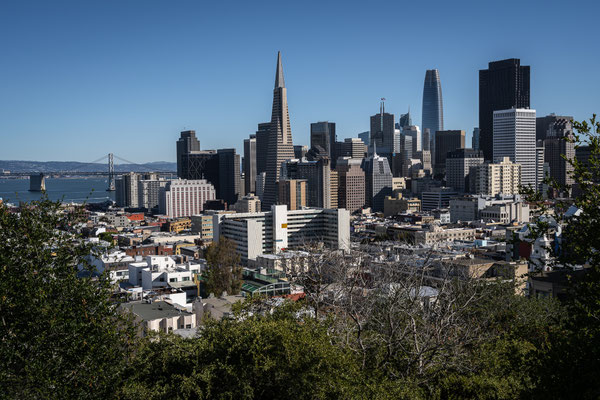 San Francisco City - Aussicht Ina Coolbrith Park