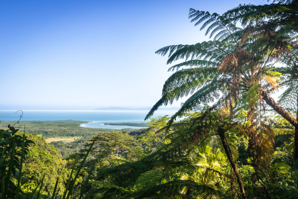 Daintree National Park - Alexandra Lookout (Sicht zur Daintree River Mündung)